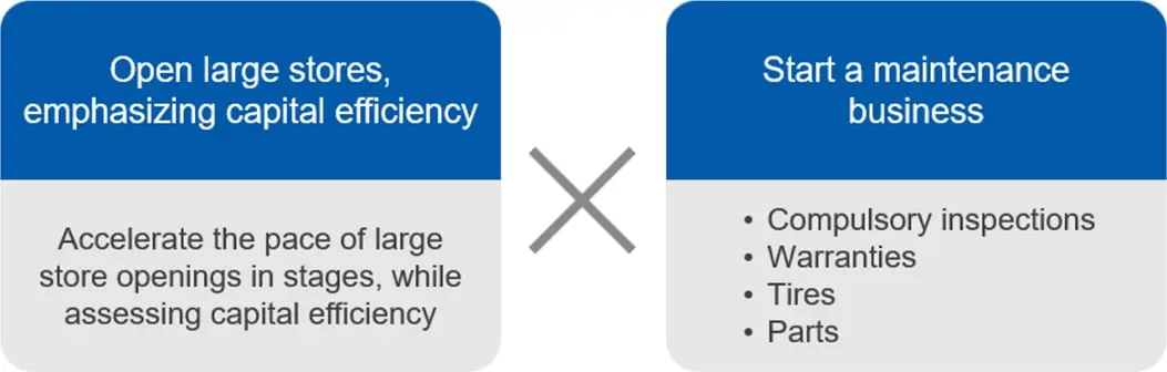 Growth Strategies